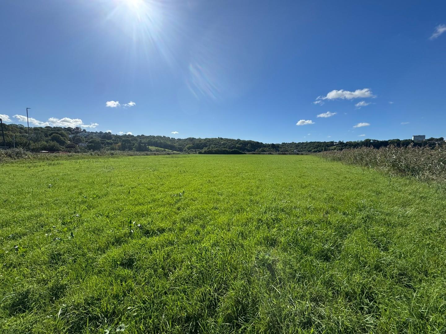Approx 8.94 acres of land on East and West of Caerleon Road, Caerleon, Newport NP18 1QB